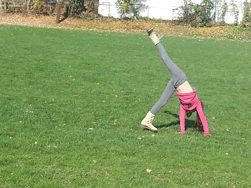 20121106_124934