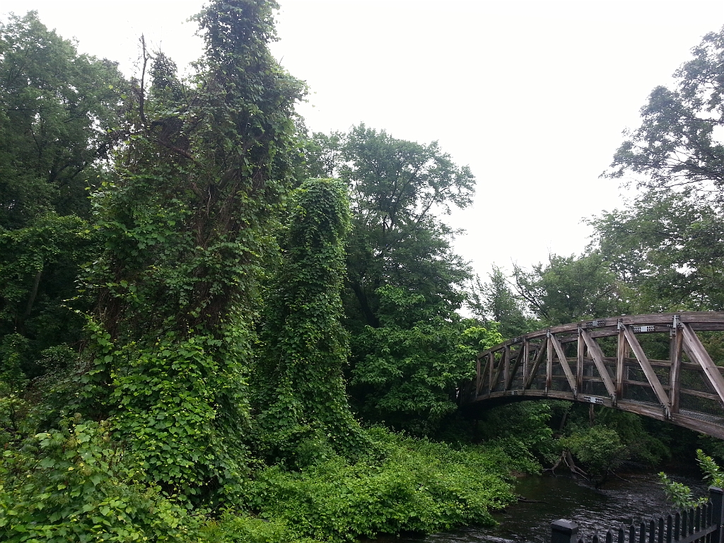 20130726_101036