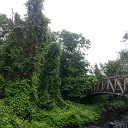 20130726_101036