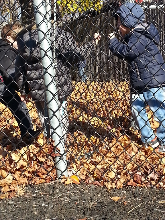 20131114_123436