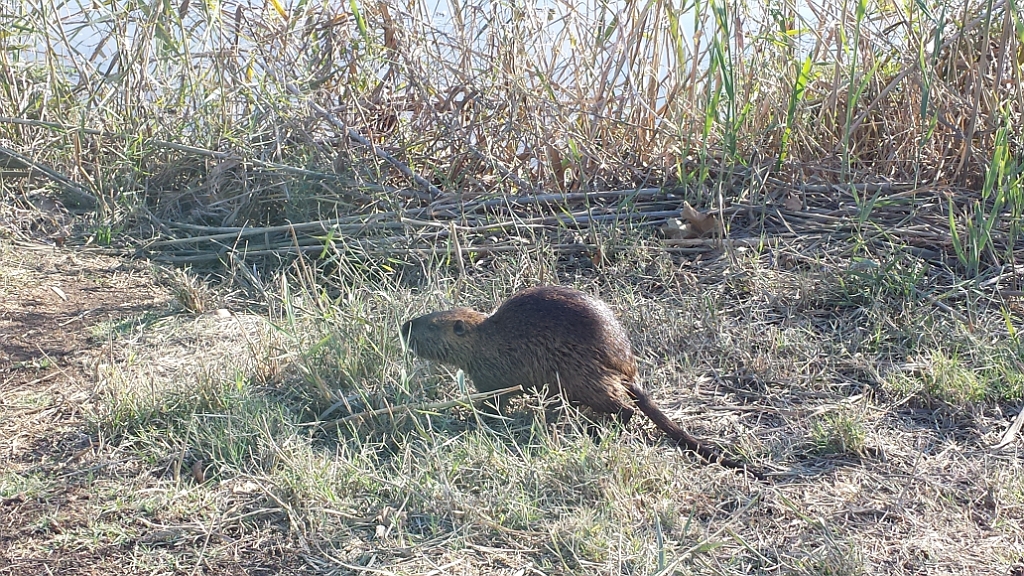 20131219_134502