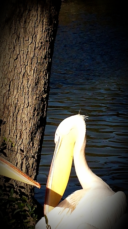 20131223_125506