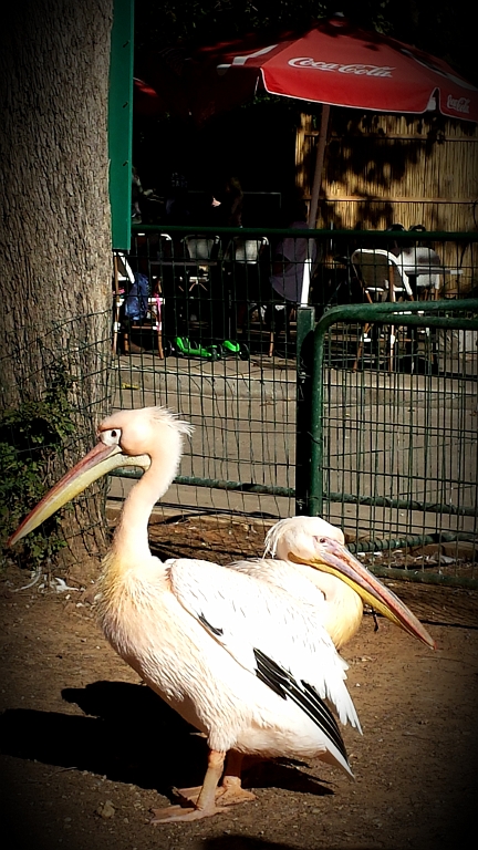 20131223_125530