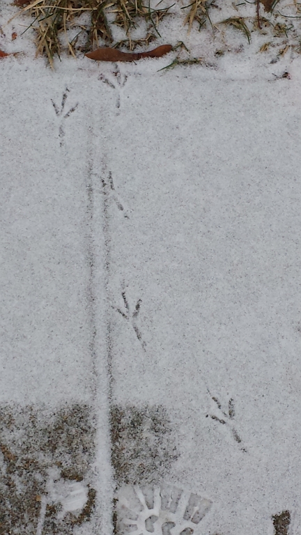 20140110_151730
