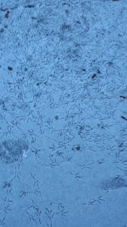 20140110_164608