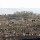 20131219_133828