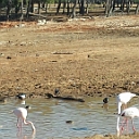20131223_105203