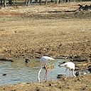 20131223_105205