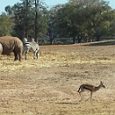 20131223_105341