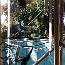 20131223_123646