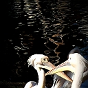20131223_125502