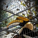 20131223_130324