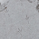 20140110_151723