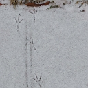 20140110_151730
