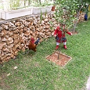 P1010663